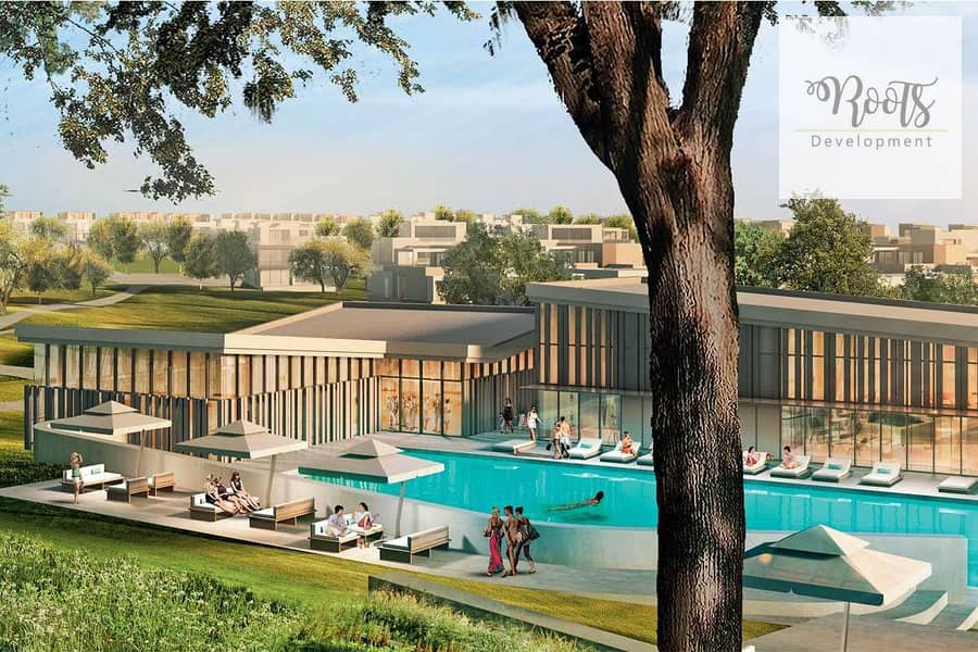 6 Swimming pool in palm hills. jpg