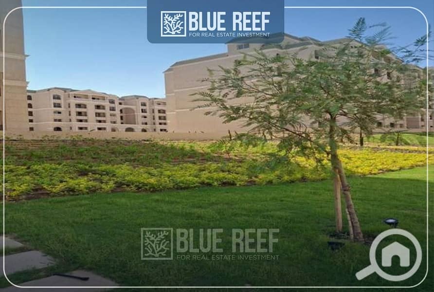 13 WhatsApp Image 2025-10-22 at 7.20. 08 PM (1). jpeg