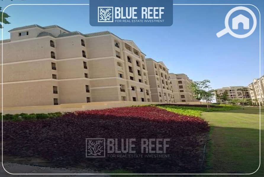 15 WhatsApp Image 2025-10-22 at 7.20. 08 PM. jpeg