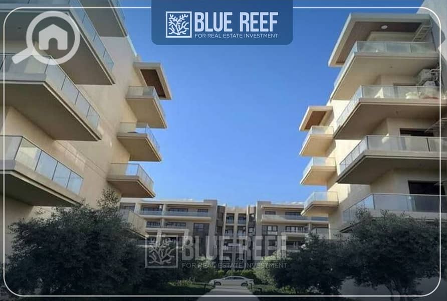 16 WhatsApp Image 2025-10-22 at 7.20. 09 PM (1). jpeg