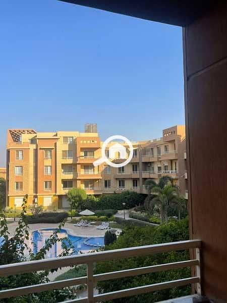 8 XIngbI5cishQEnO8zd1fsmvzg38i72QqACyjzOEW. jpeg