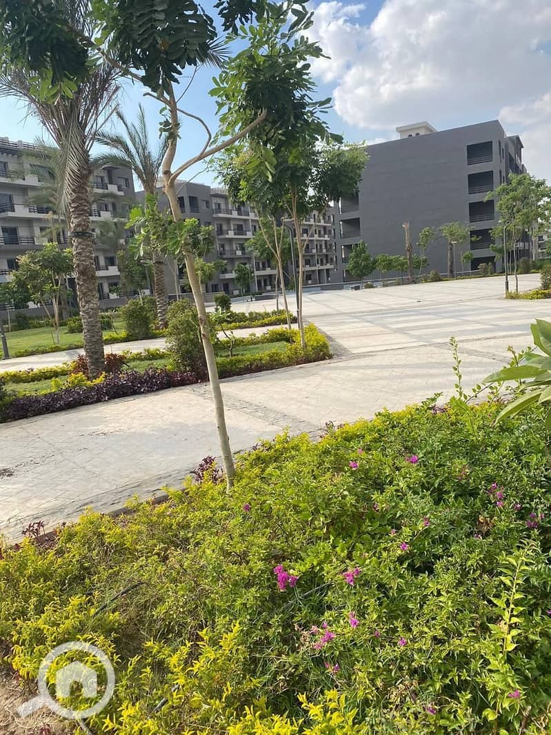 11 WhatsApp Image 2025-05-29 at 9.30. 32 PM (1). jpeg