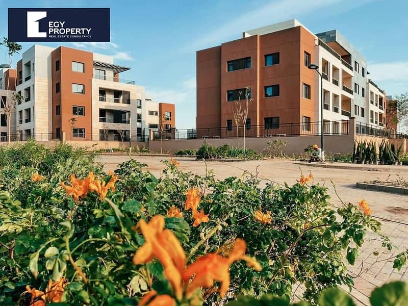 9 2327af75-5253-466b-9e3f-de6e6b200e5e. jpg