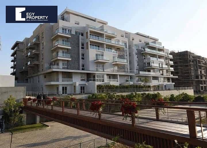 8 WhatsApp Image 2025-01-27 at 3.38. 42 AM. jpeg