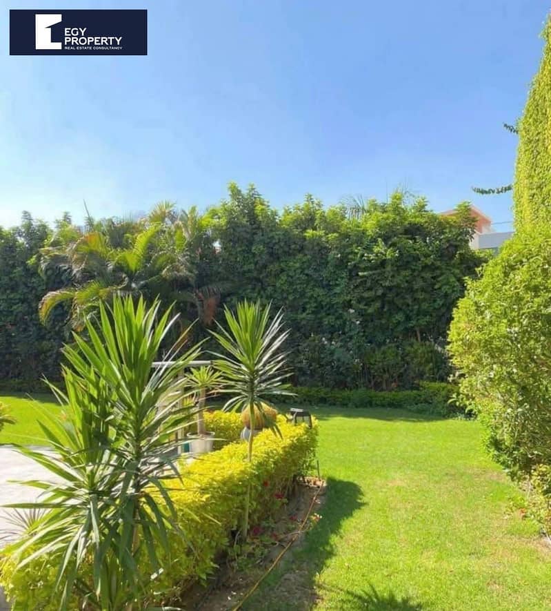 10 WhatsApp Image 2025-10-15 at 10.30. 10 PM (3). jpeg