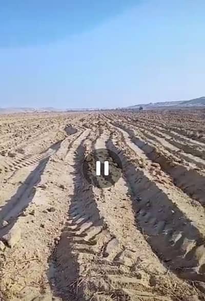 Agricultural for Rent in Samalut, Minya - ارض زراعية للايجار سمالوط المنيا