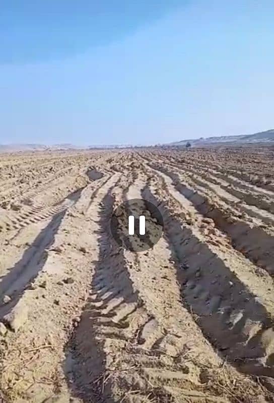 ارض زراعية للايجار سمالوط المنيا ارض زراعية للايجار سمالوط المنيا