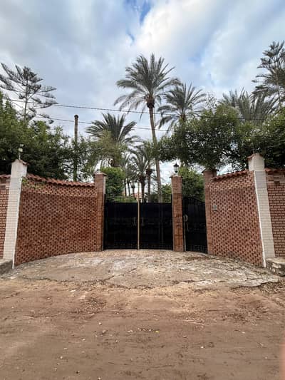 3 Bedroom Villa for Sale in King Mariout, Alexandria - فرصه استثماريه - فيلا 2000 مترفي الكينج مريوط بسعر مميز