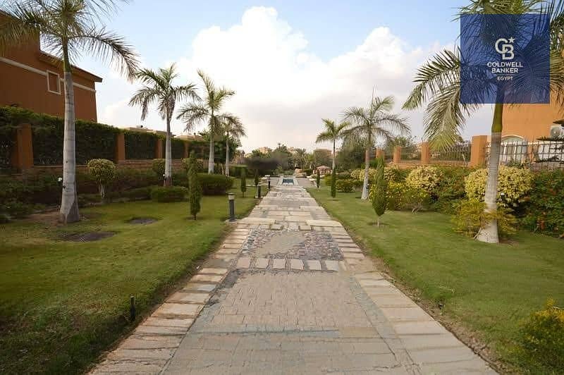 19 e87810f5-07c1-4ef4-a647-dbf8a8c9189f. jpeg