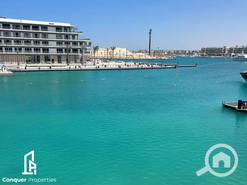 6 Untitled design - 2023-07-26T150724.089. png