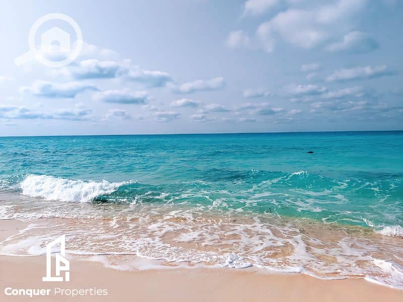 4 Untitled design - 2023-07-26T150526.631 (2). png