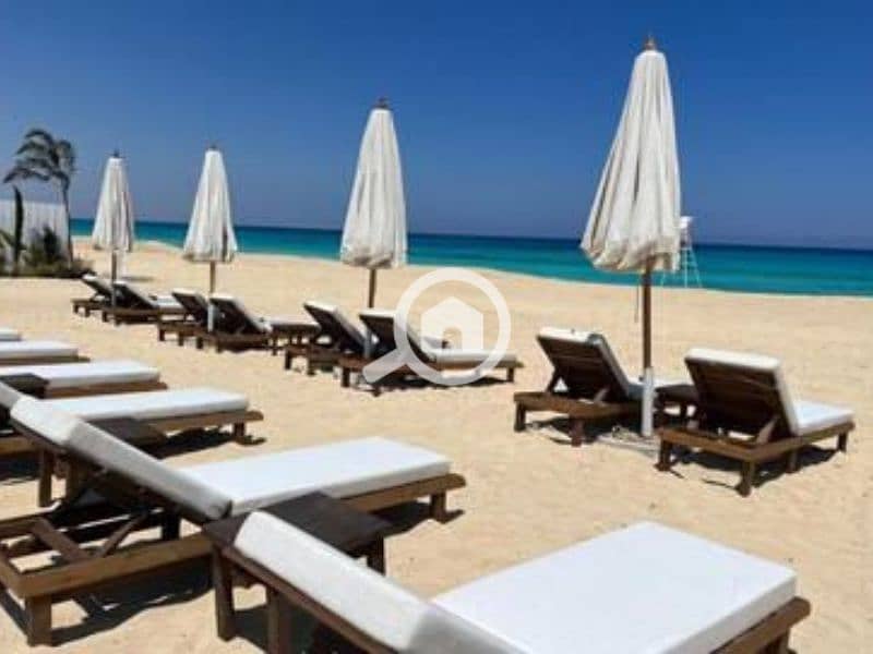 5 Untitled design - 2023-05-02T150908.084. png