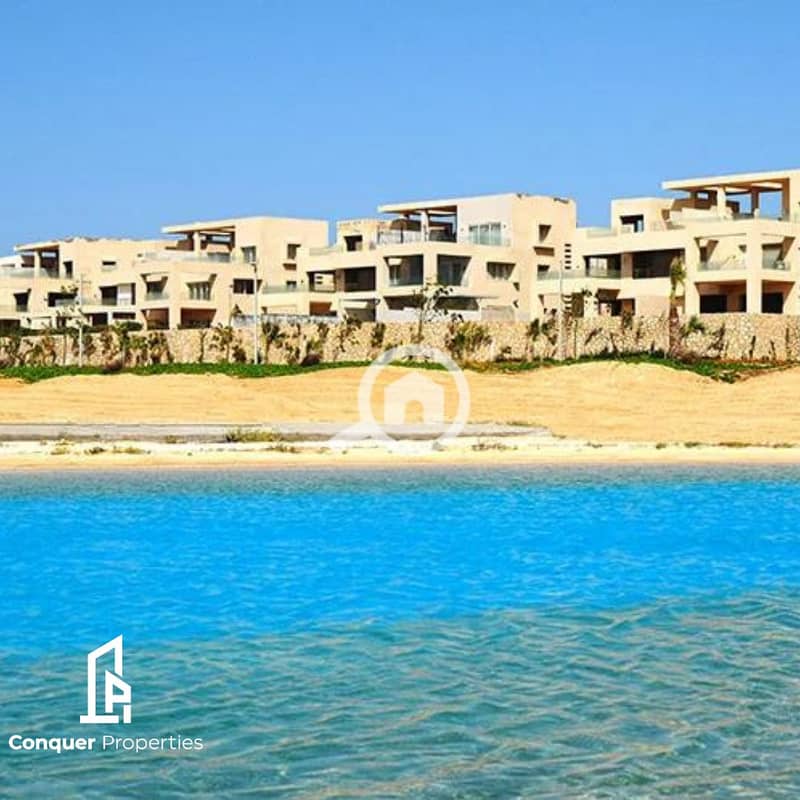 6 Untitled design (1). png