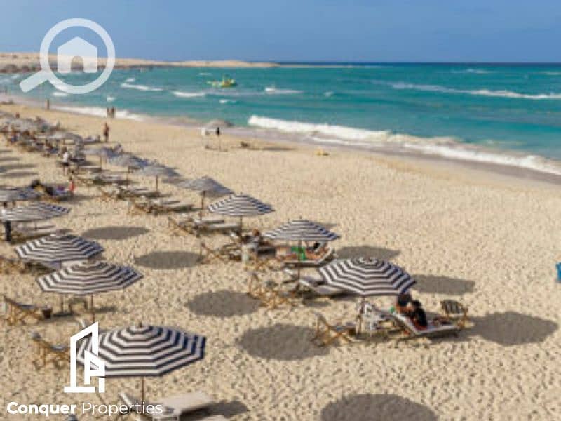 6 Untitled design - 2023-10-16T144741.409 (2). png