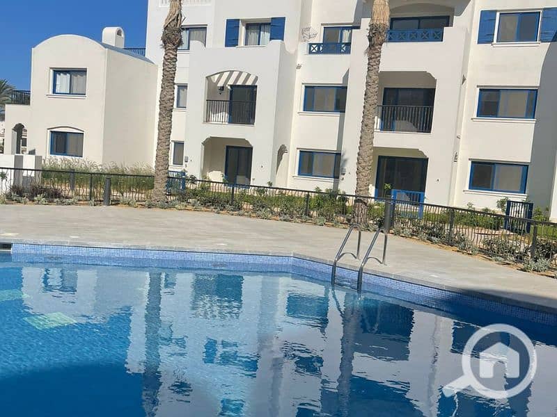 3 Untitled design - 2023-07-16T123626.988 - Copy. png