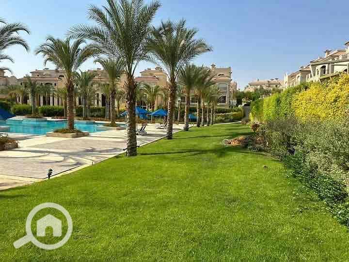 6 cece7e5d-ac65-4ee9-898e-7701250b0120. jpg