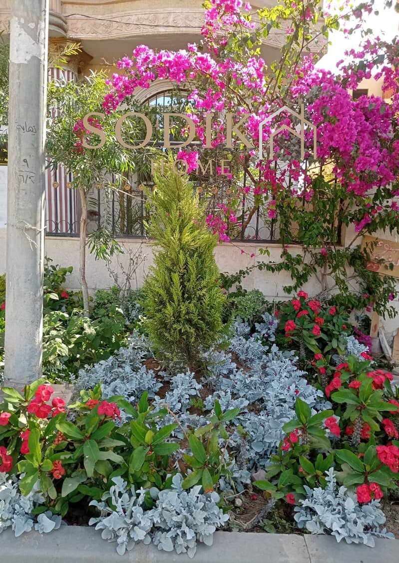 4 IMG-20250428-WA0029. jpg