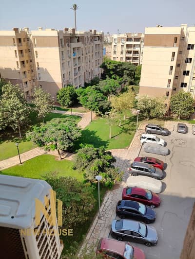 2 Bedroom Flat for Rent in Madinaty, Cairo - WhatsApp Image 2025-10-17 at 4.15. 06 PM. jpeg