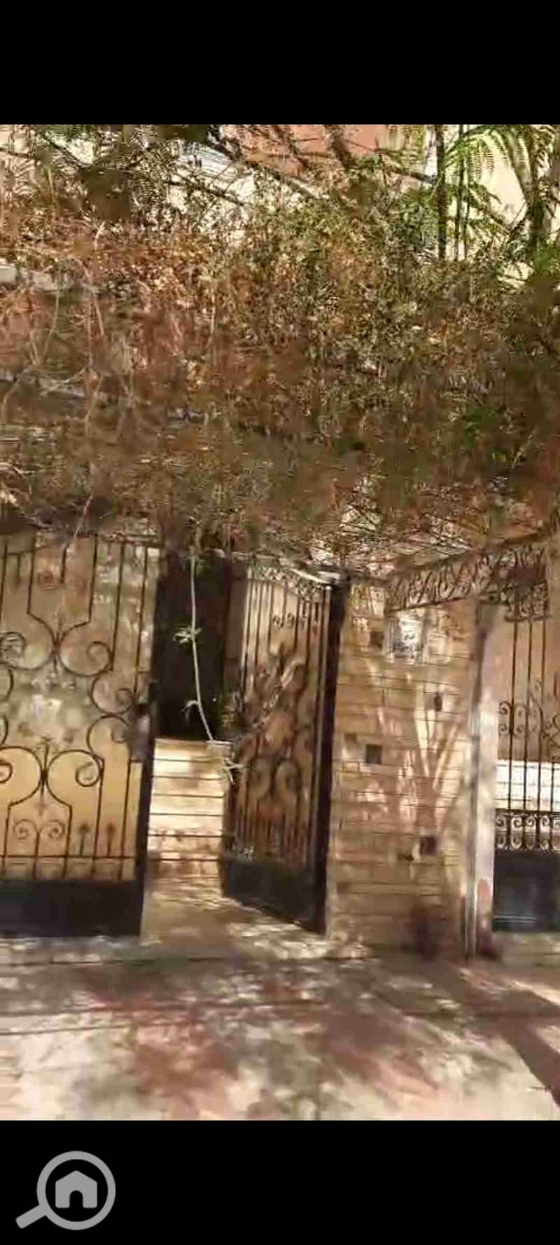 1000408232. jpg 1000408232. jpg