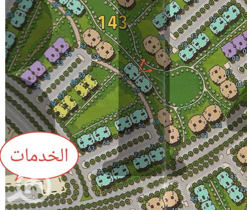 3 WhatsApp Image 2025-10-23 at 12.14. 13_c7d5b03a. jpg