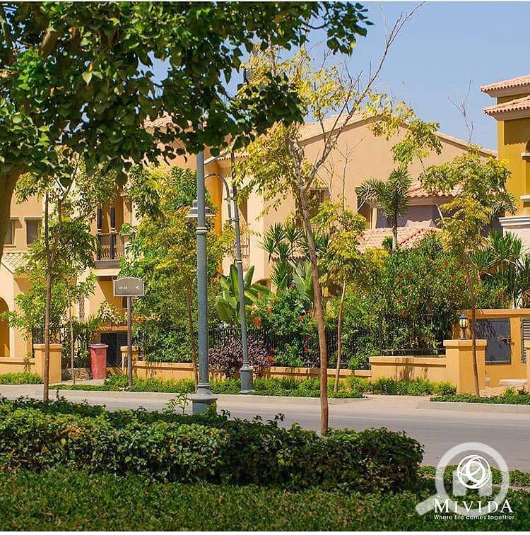 6 WhatsApp Image 2025-09-29 at 15.37. 41_f4731e52. jpg