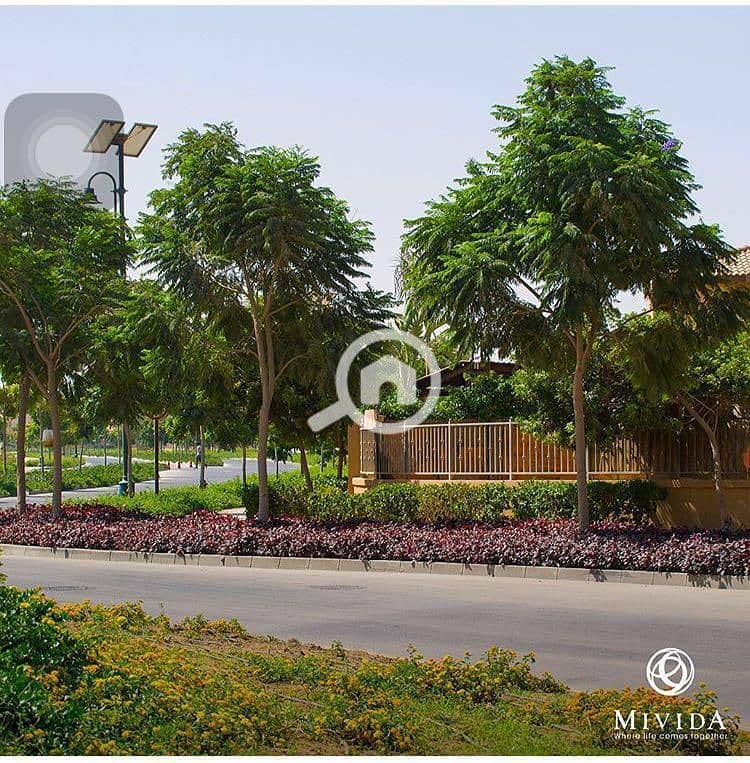 7 WhatsApp Image 2025-09-29 at 15.37. 42_7b1e13d2. jpg