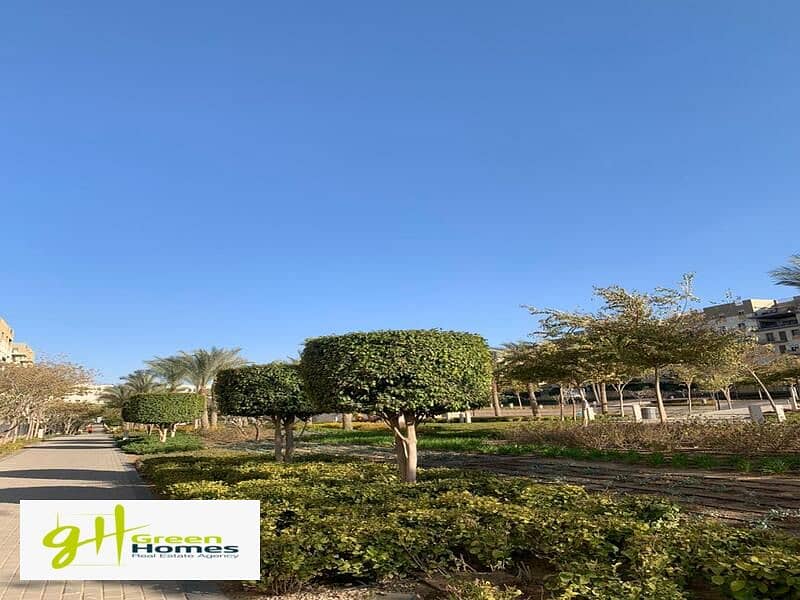 16 WhatsApp Image 2024-02-19 at 2.48. 18 PM. jpeg