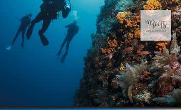 9 Screenshot 2025-08-11 133051. png