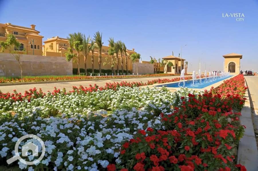 4 WhatsApp Image 2025-08-19 at 17.20. 44_7b903fd7. jpg