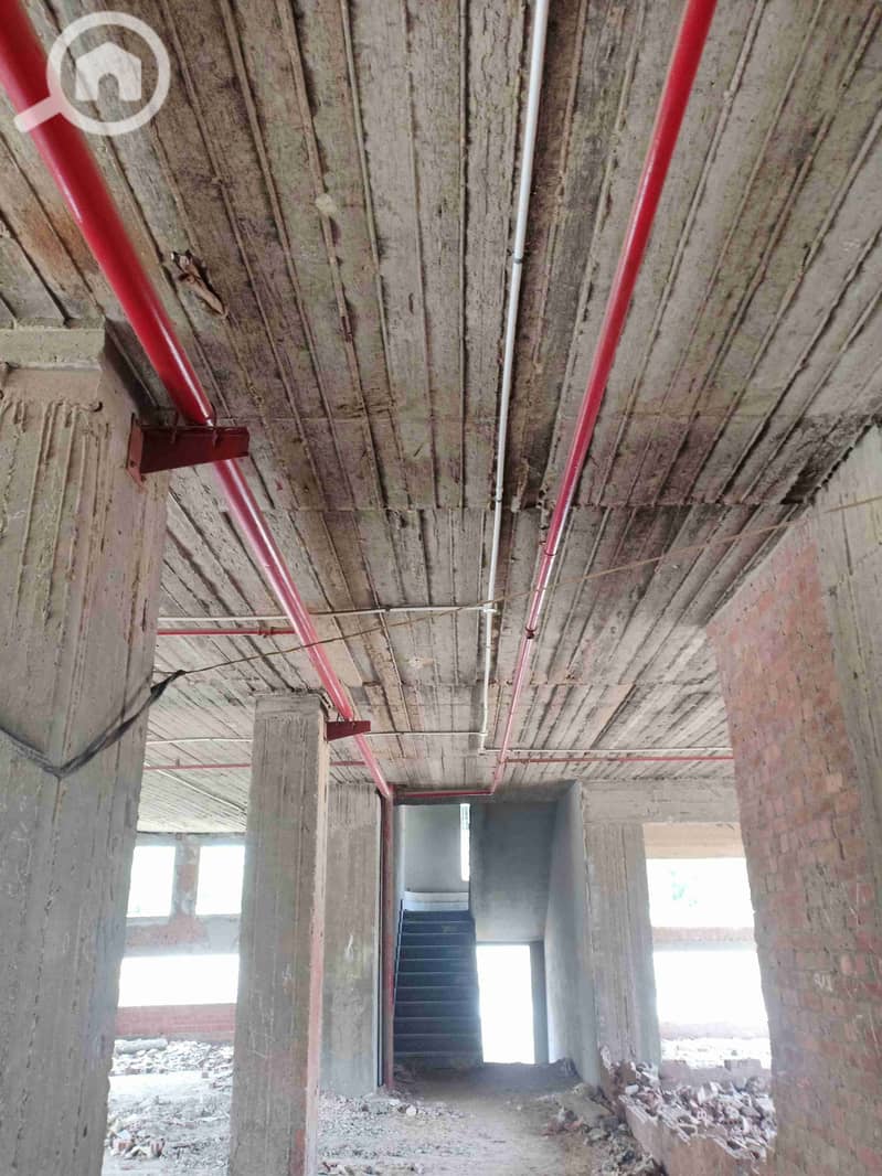 2 IMG20250409122241. jpg