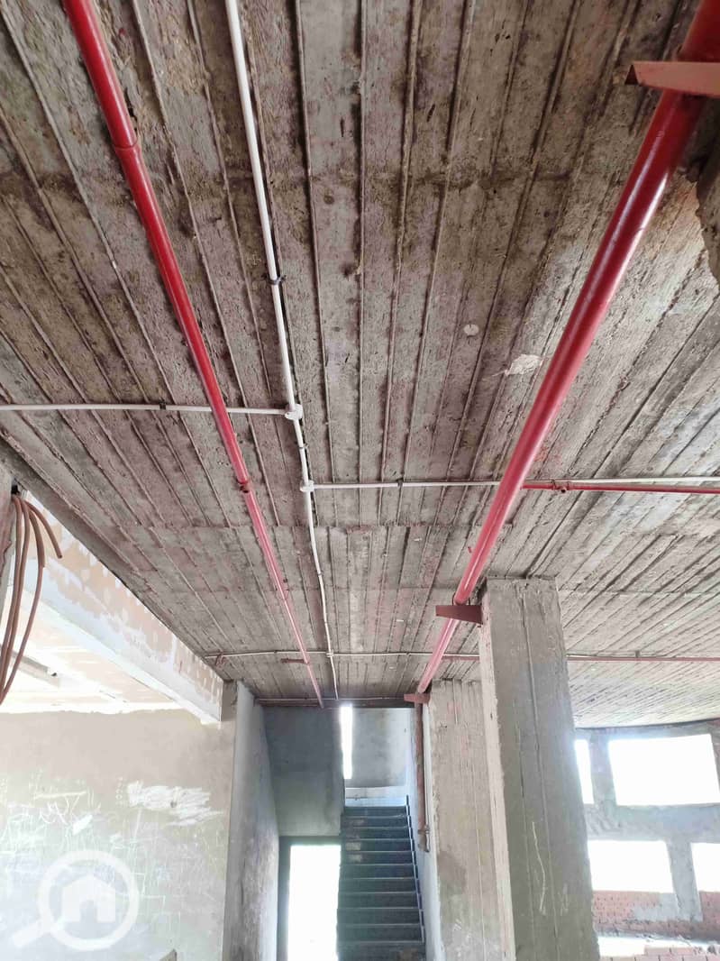 3 IMG20250409122247. jpg