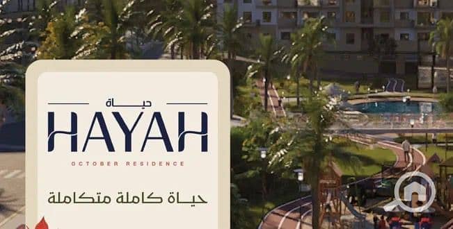 4 WhatsApp Image 2025-10-20 at 4.16. 09 PM (2). jpeg