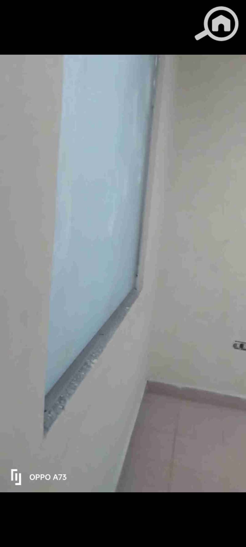 2 1000026974. jpg