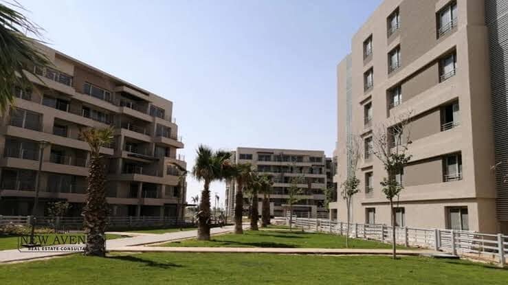 9 IMG-20251013-WA0051. jpg