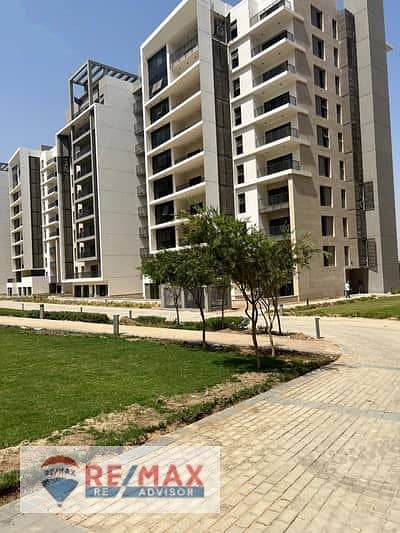 8 6010611005253601013. jpg