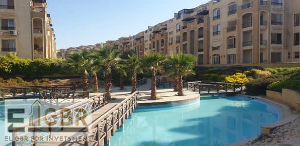 شقة 4 غرف نوم للبيع في القطامية، القاهرة - WhatsApp Image 2025-10-05 at 11.19. 44 PM (3). jpeg
