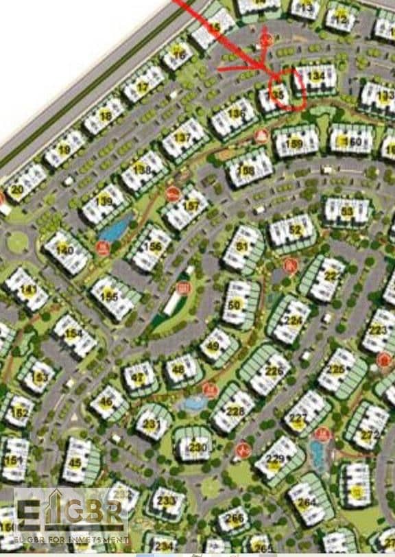 6 WhatsApp Image 2025-10-08 at 15.39. 55. jpeg