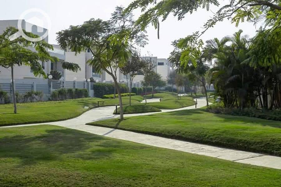 10 FB_IMG_1740236402352_900x600. jpg