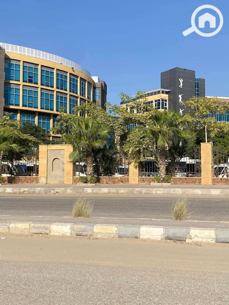 4 557585269_122265120098062265_9147825751411090193_n. jpg