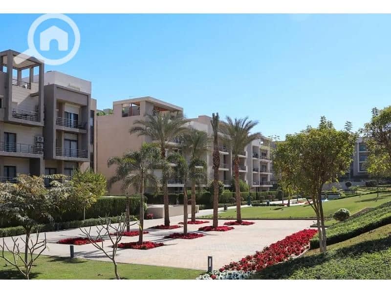 2 8046982-14c11o. jpg