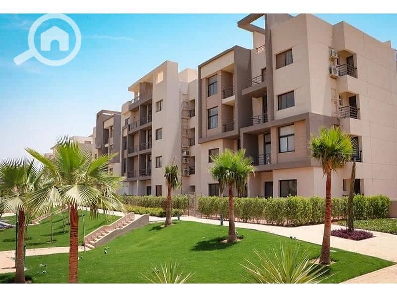 6 8082164-6b29do. jpg