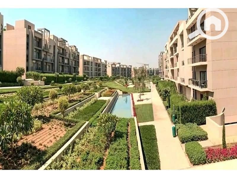 9 8082164-178b8o - Copy. jpg