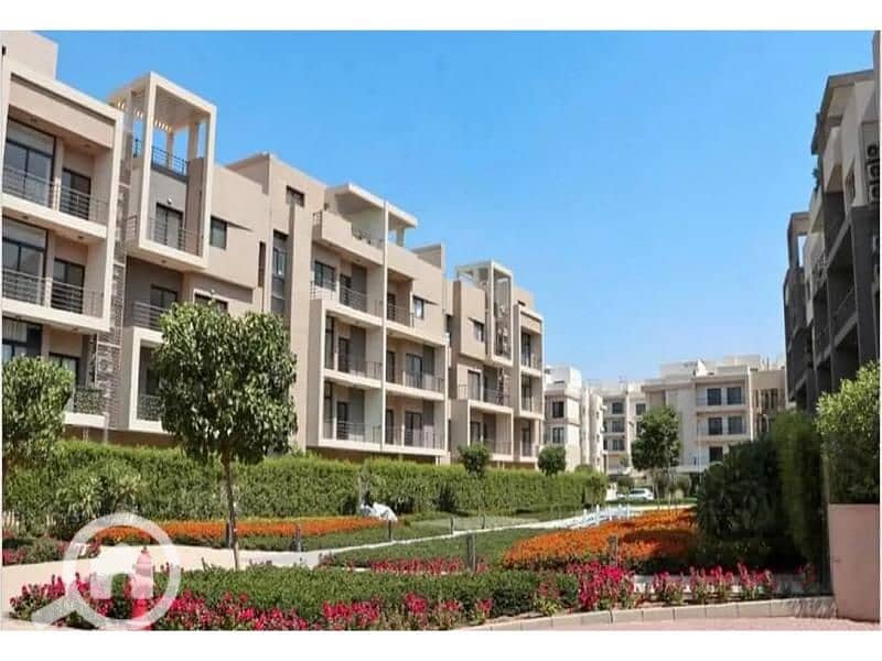 14 8082164-e67dco. jpg