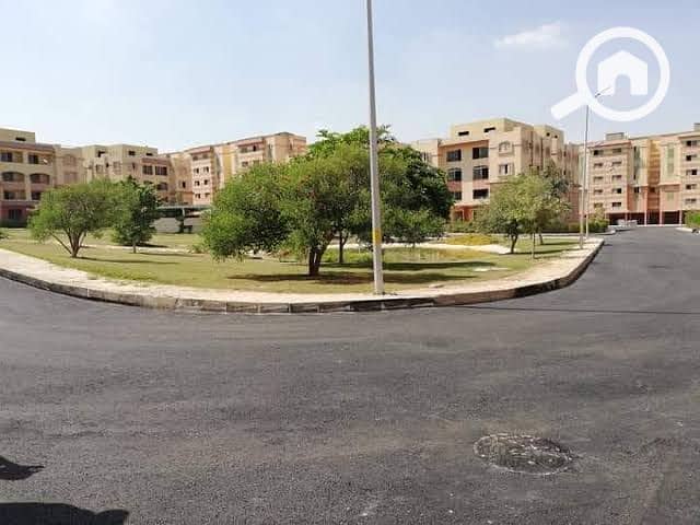 2 a5fc773a-a747-492d-b0a3-86cf248da81aباراديس. jpg