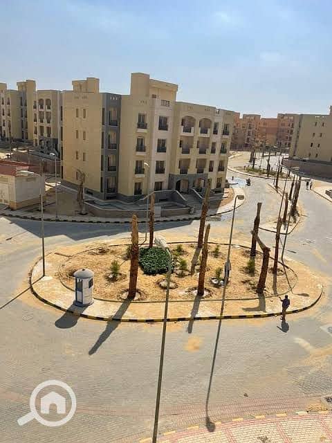 3 e49926d2-4c6c-44b5-adce-9b84b7ef8419باراديس. jpg