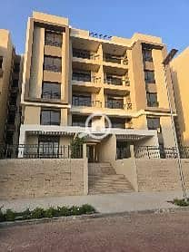 4 باراديس. jpg