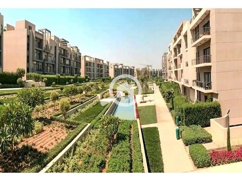 9 8082164-178b8o - Copy. jpg