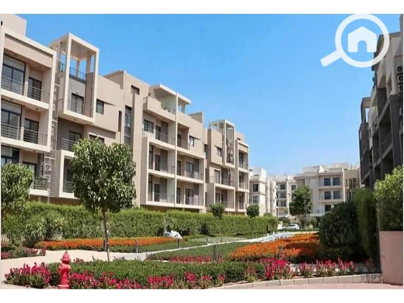 14 8082164-e67dco. jpg