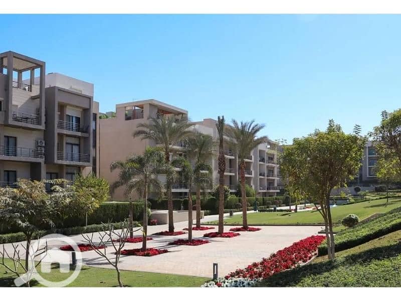 2 8046982-14c11o. jpg