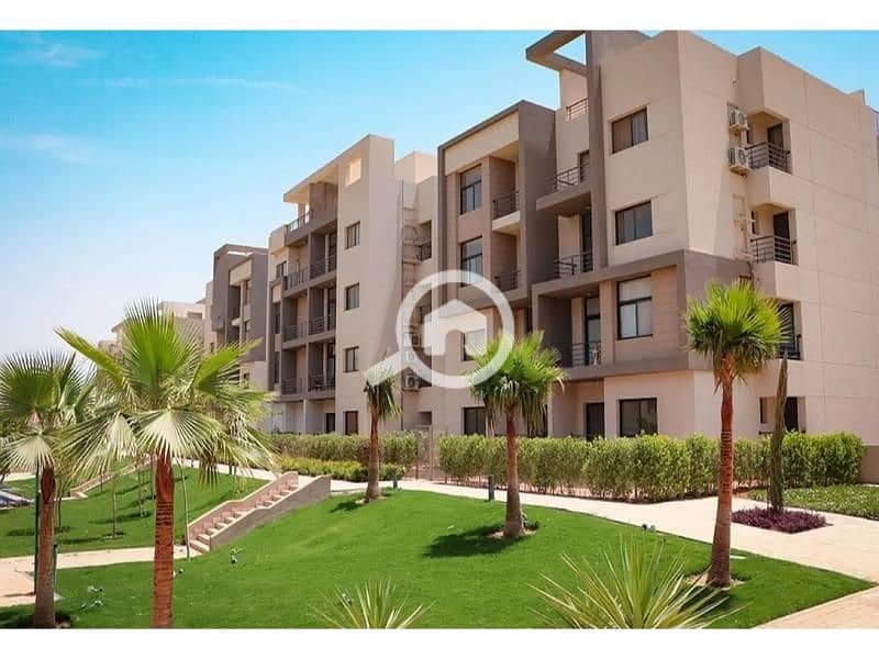 7 8082164-6b29do. jpg